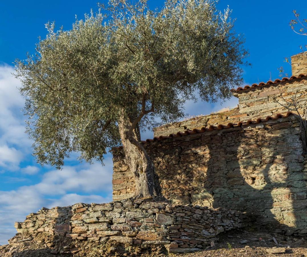 مبيت وإفطار Pinhão Dois Lagares House المظهر الخارجي الصورة