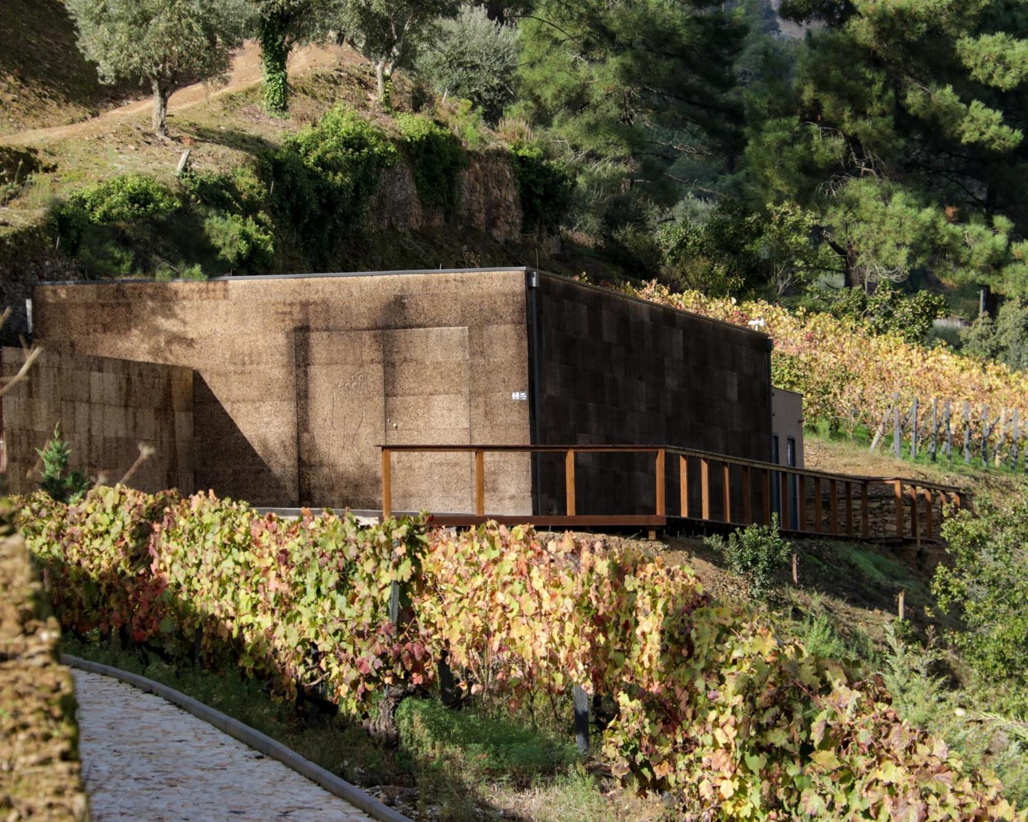 مبيت وإفطار Pinhão Dois Lagares House المظهر الخارجي الصورة